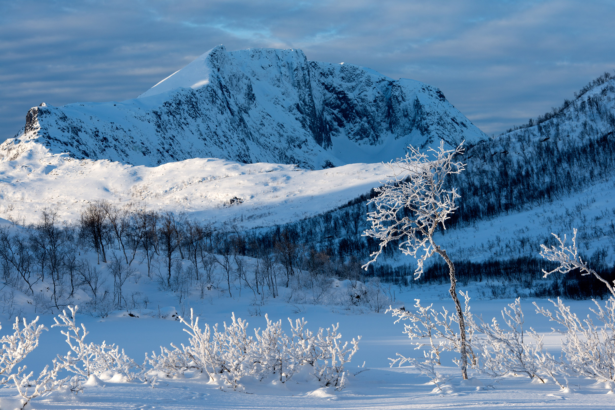 Photographie de paysage