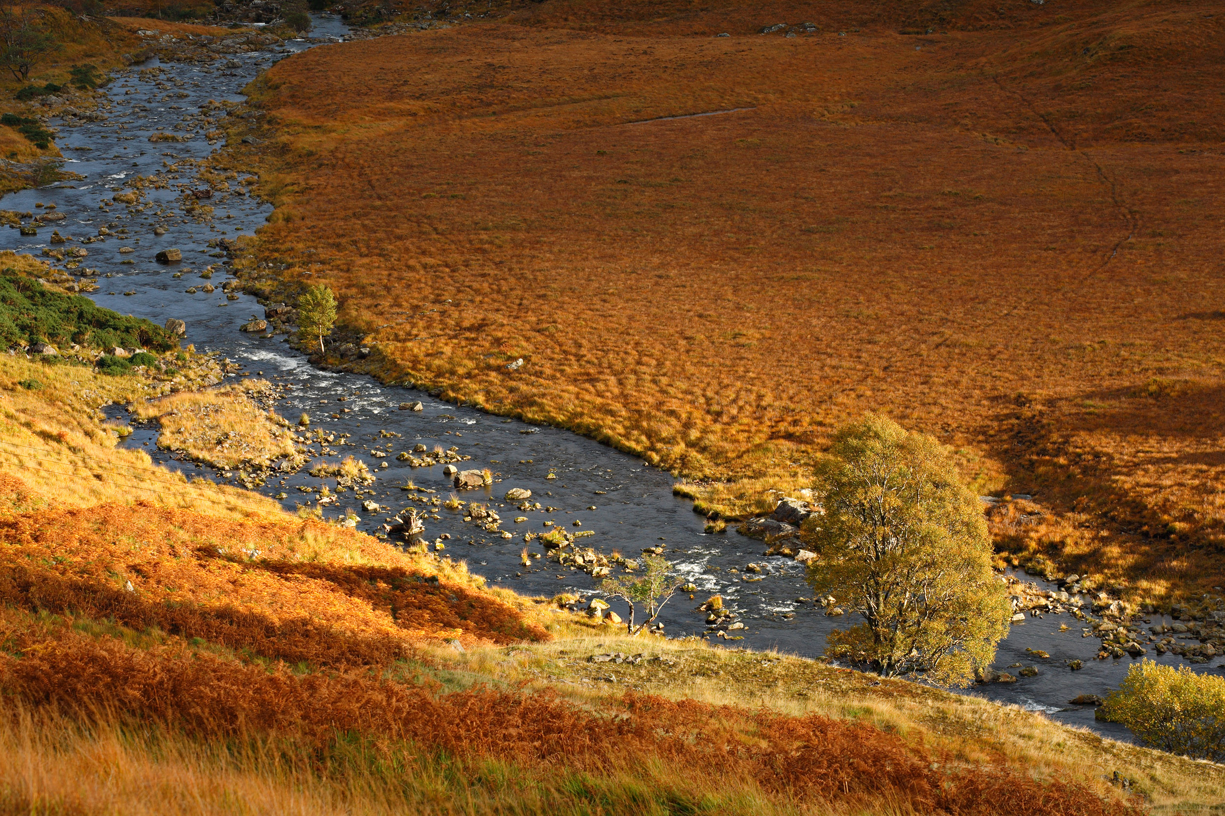 Photographie de paysage