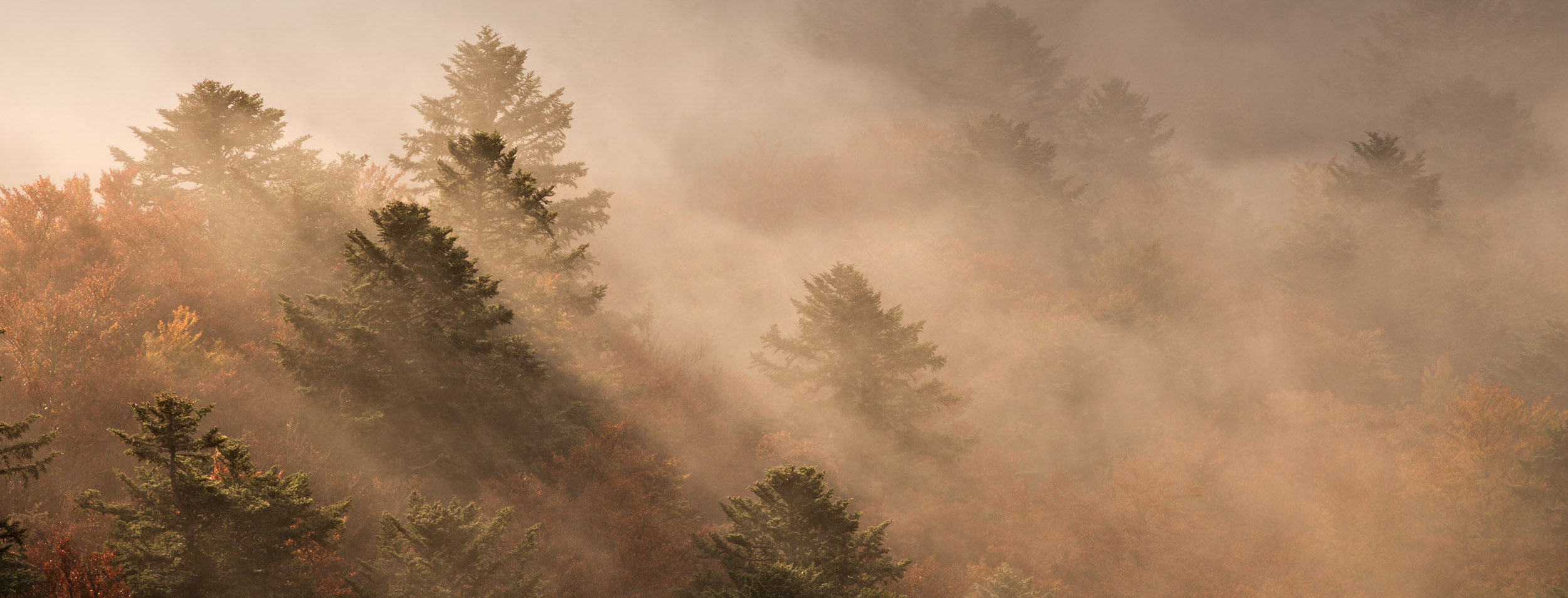 Photographie de paysage