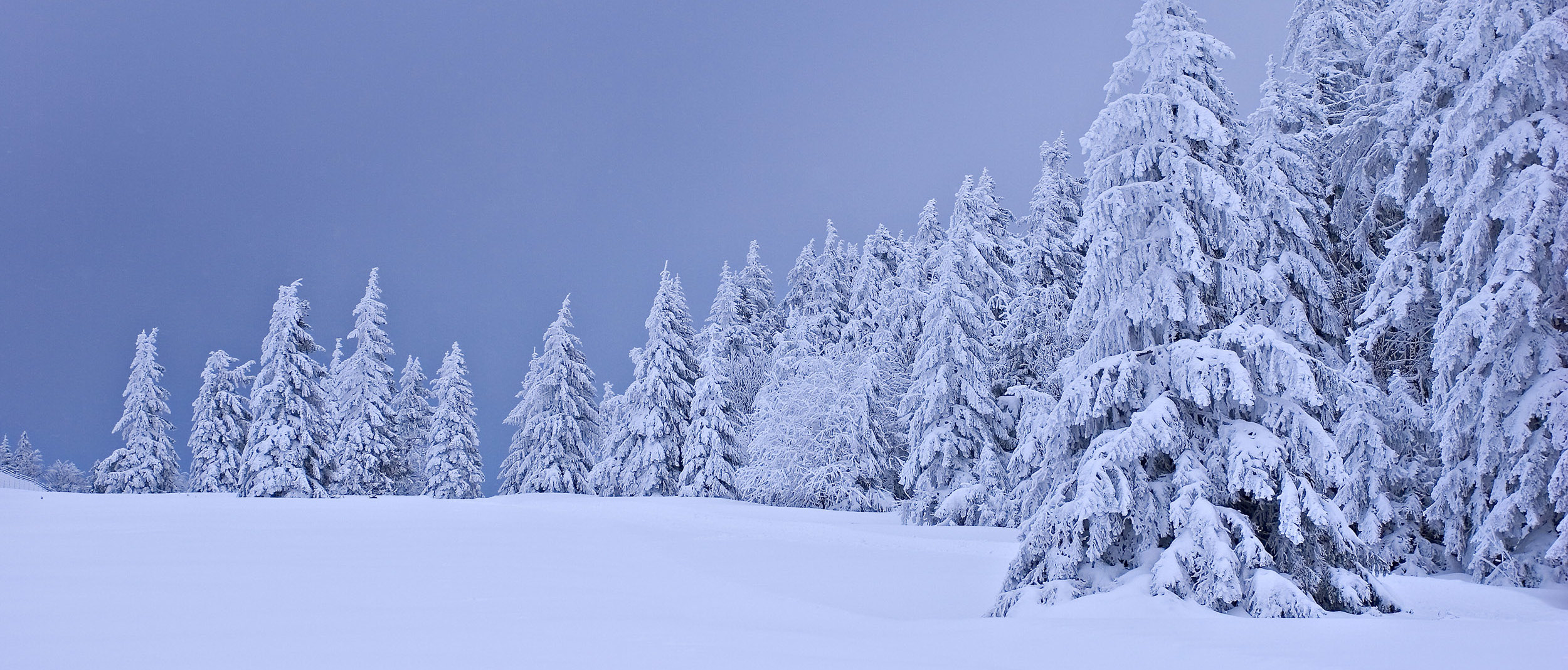 Photographie de paysage