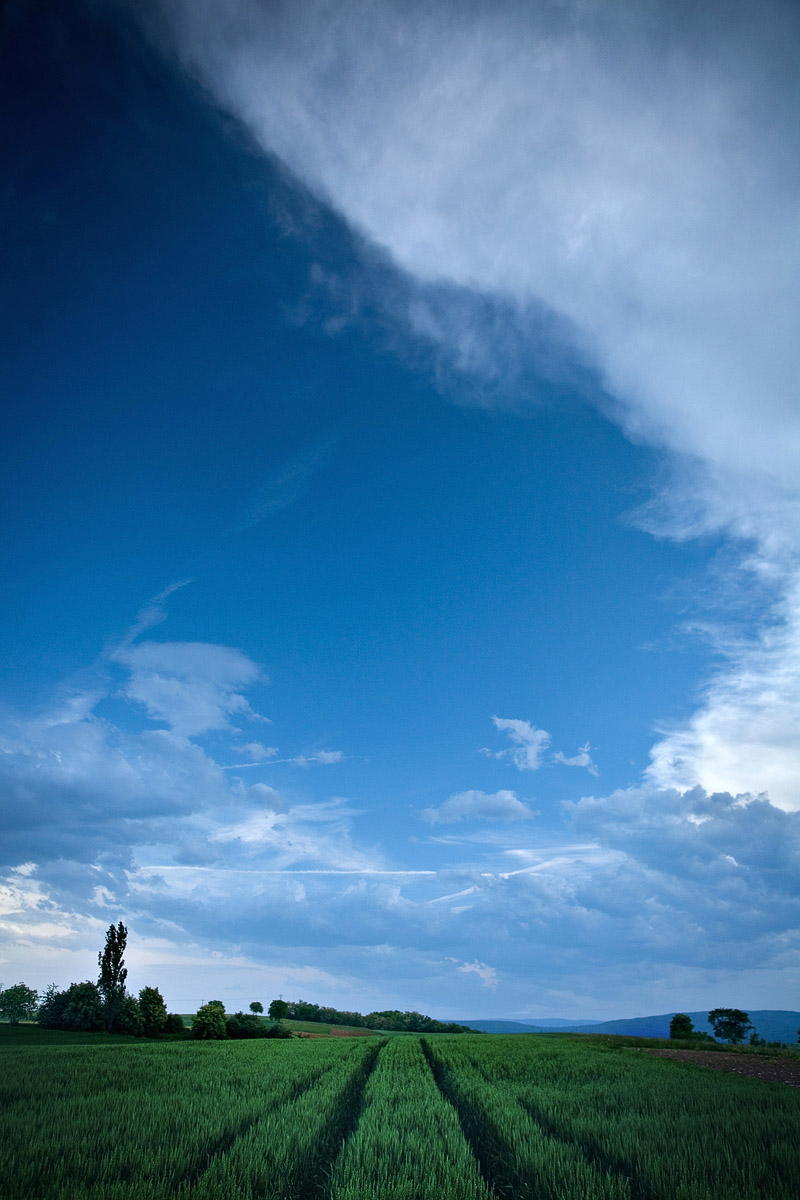 Photographie 15001