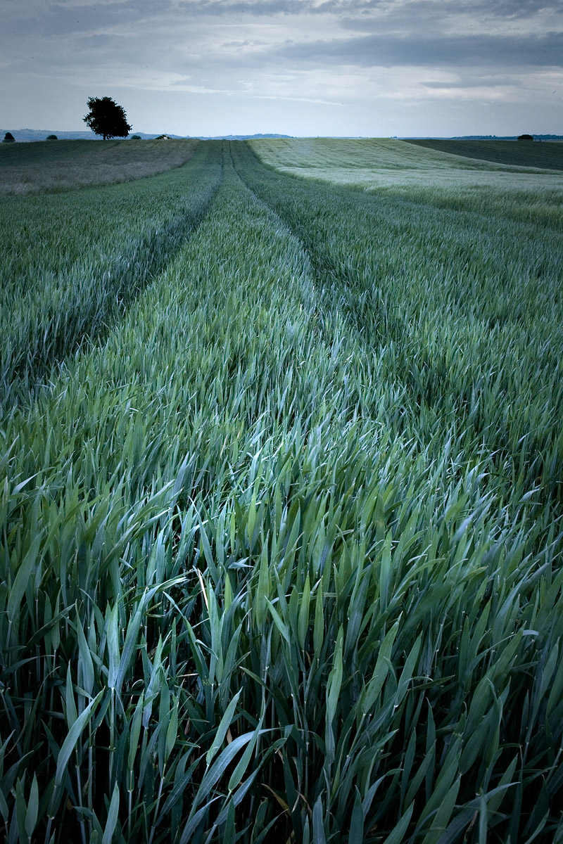 Photographie 15003