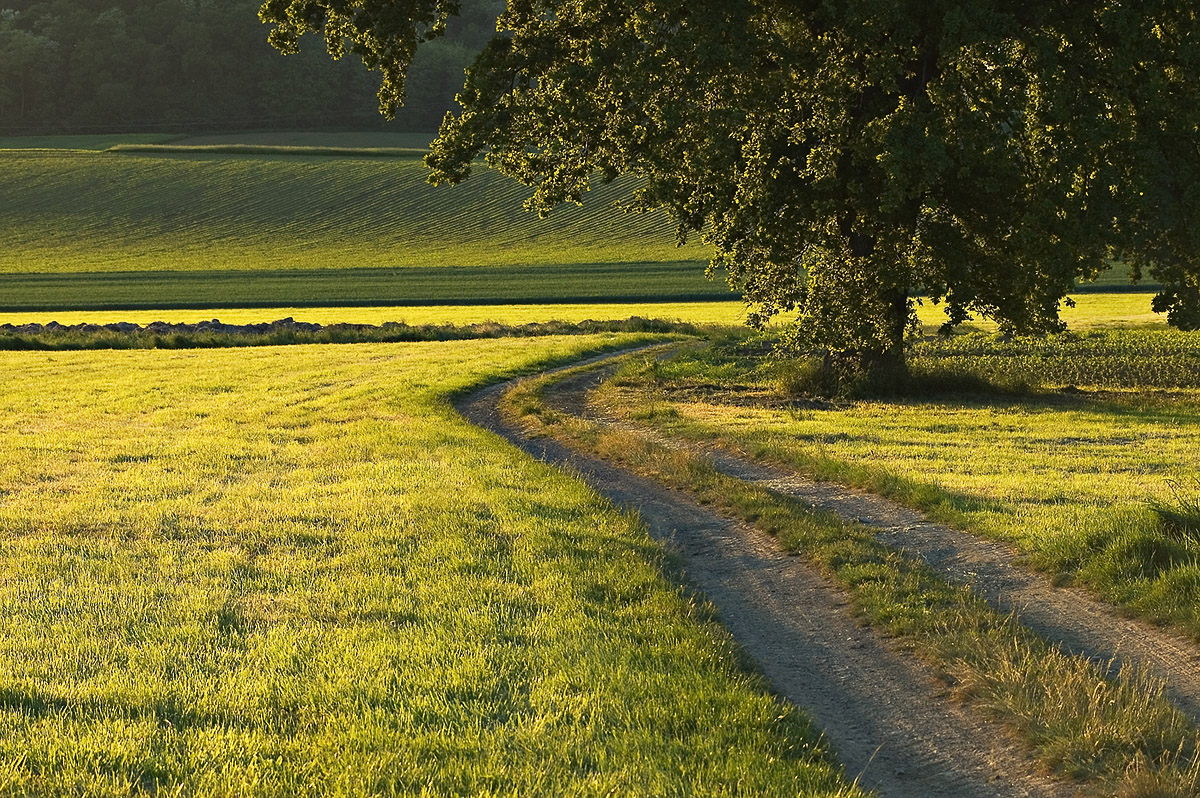 Frühling-Sommer