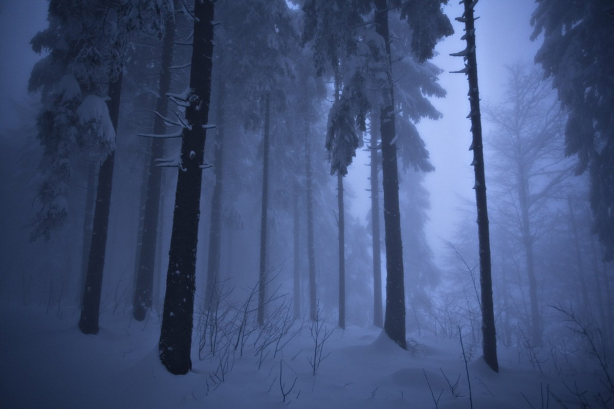 Photographie 16001