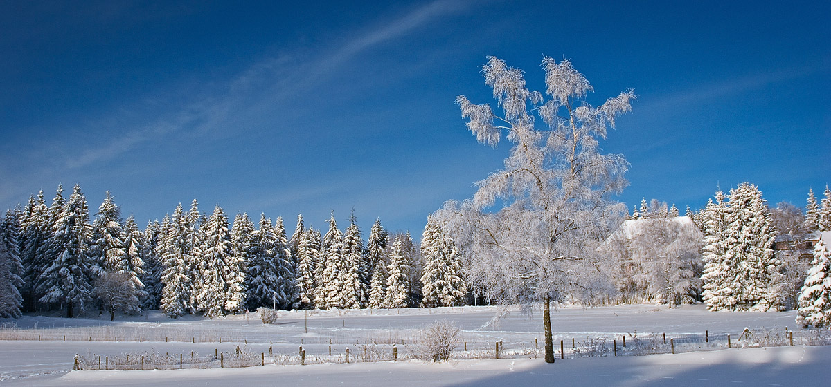 Photographie 16002