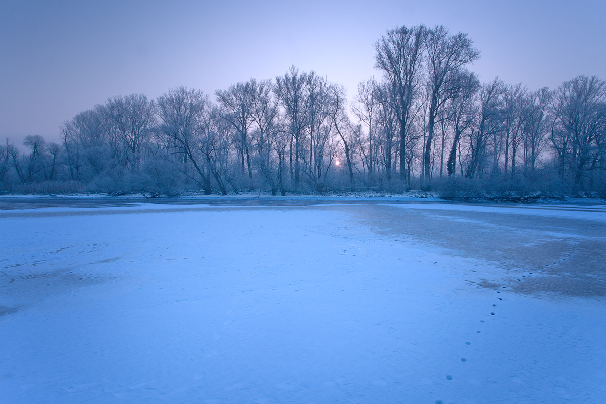 Photographie 16010