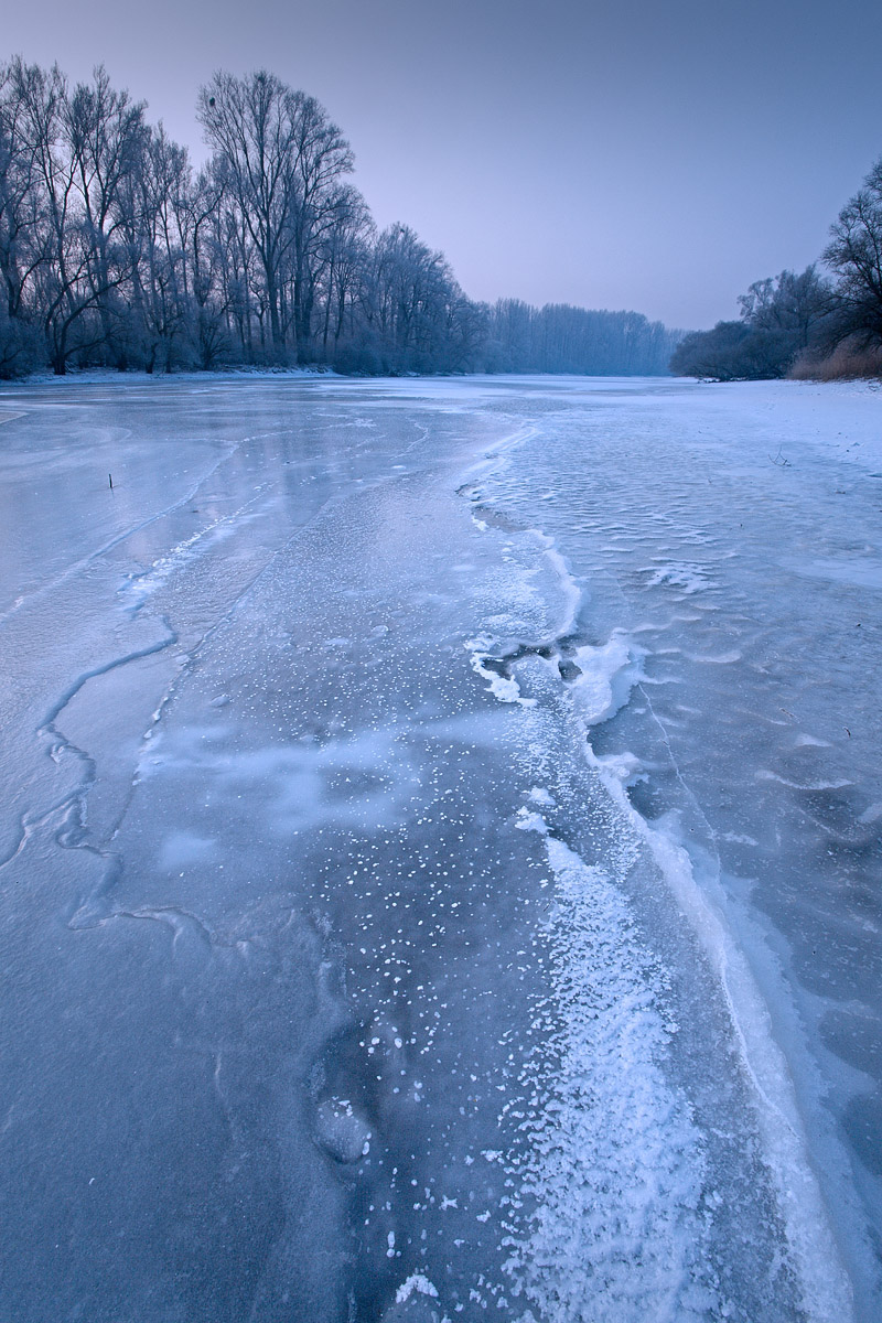 Photographie 16012
