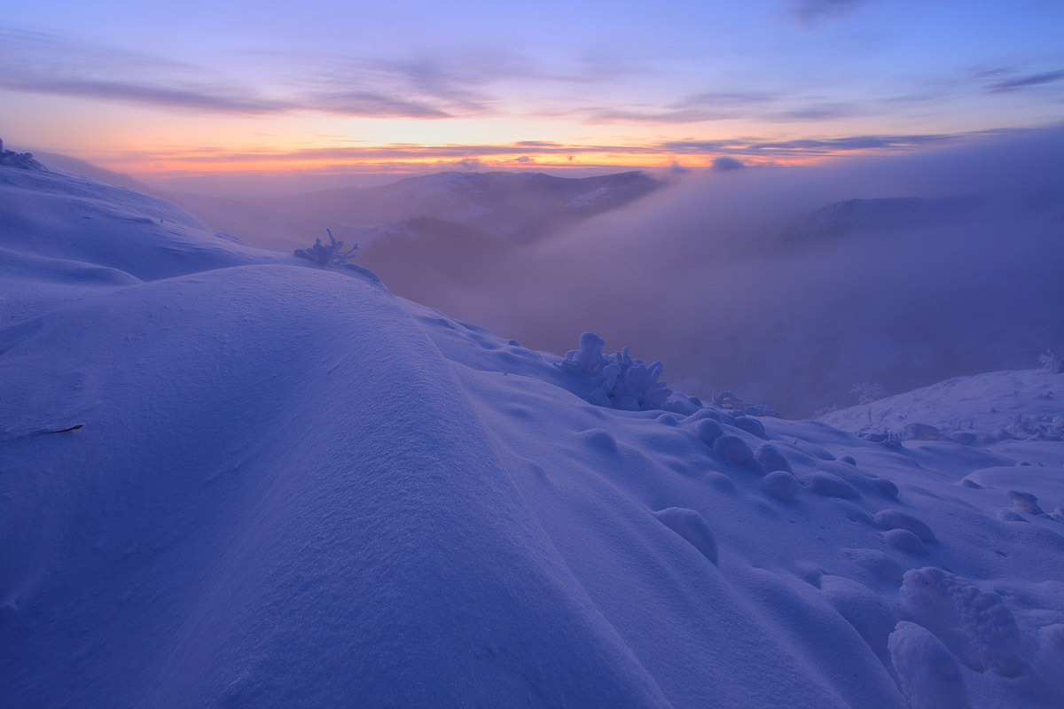 Winter