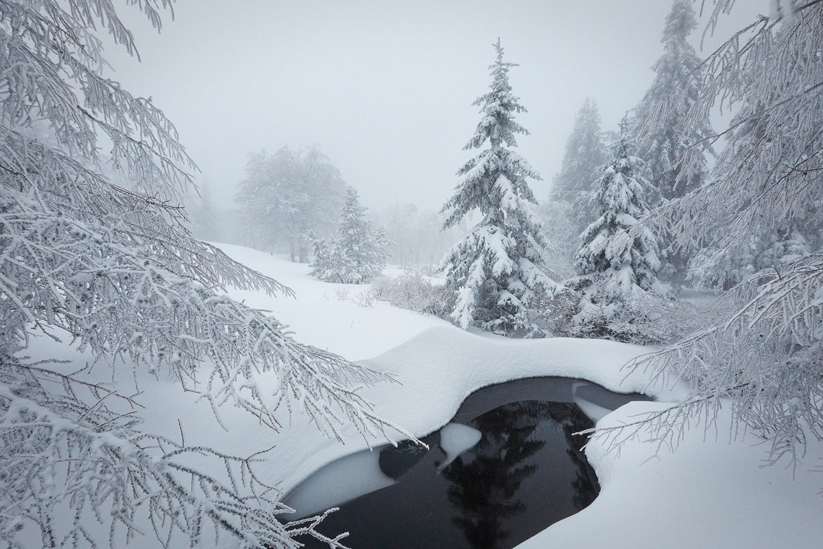 Photographie 16027