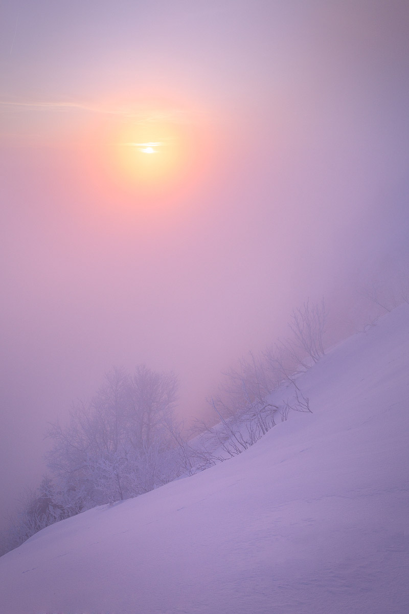 Photographie 16029