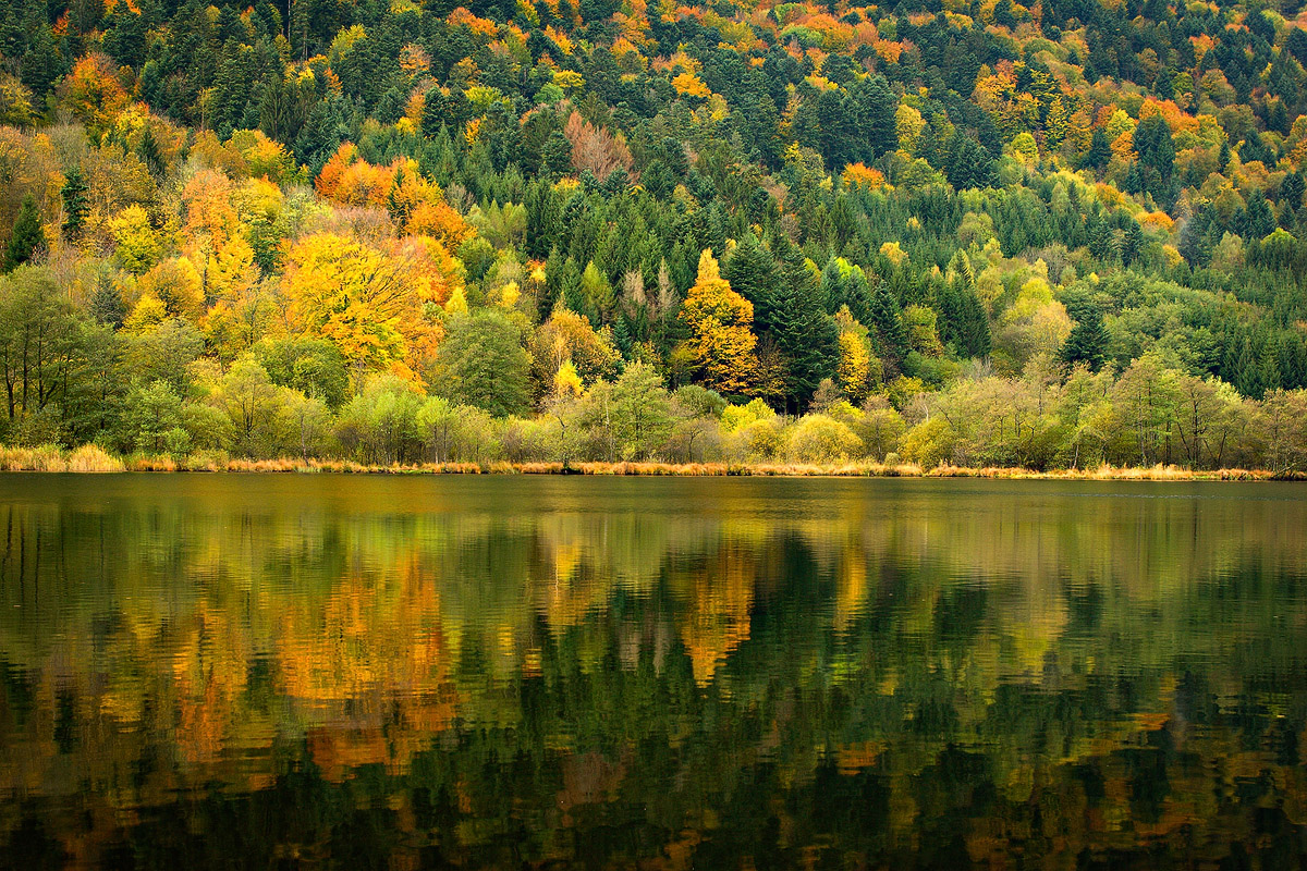 Reflet automnal