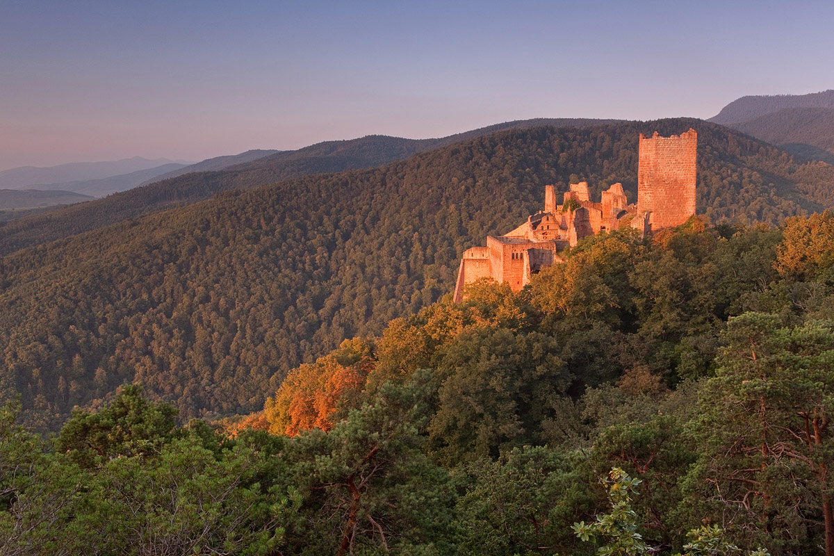 Chateau Saint-Ulrich