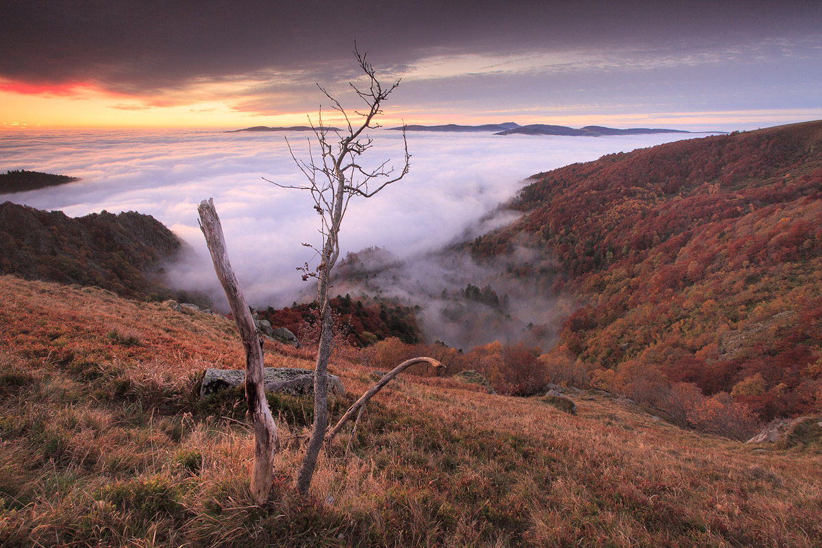 Mer de nuages sur le Kastelberg