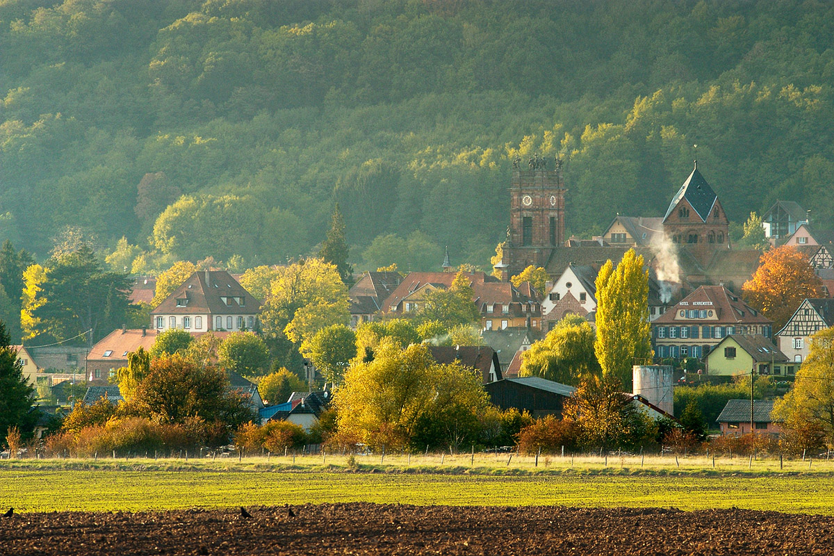 Neuwiller-Les-Savernes