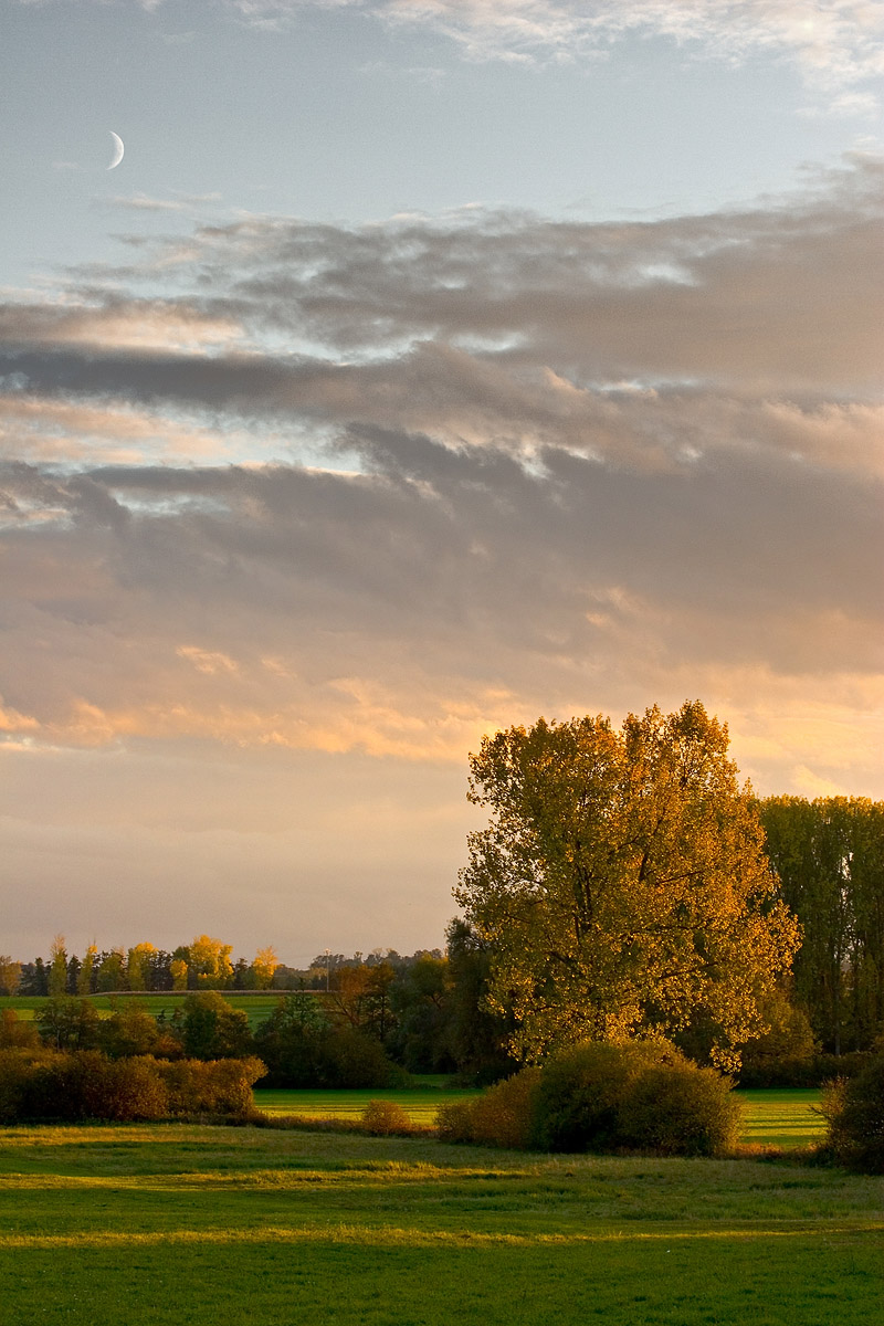Photographie