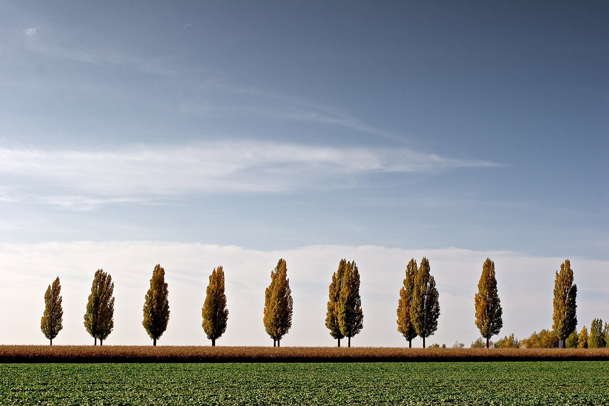 Photographie