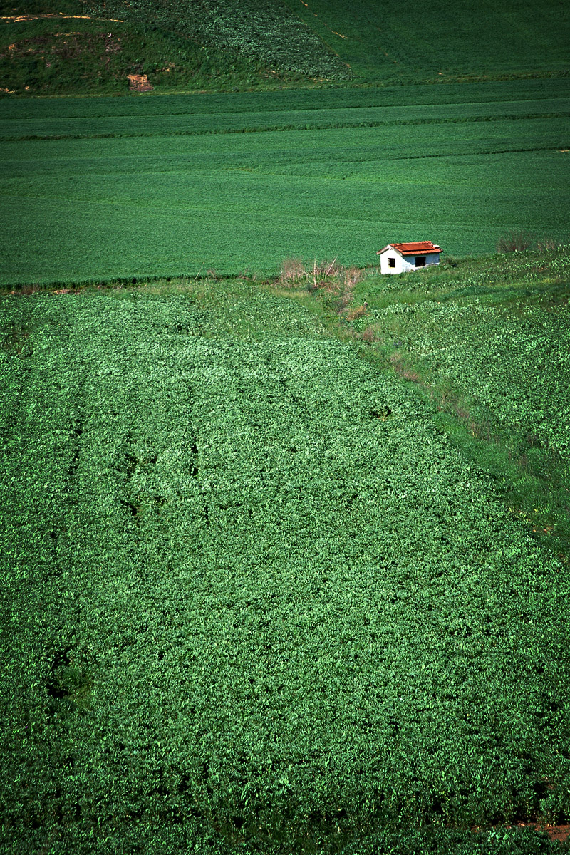 Italian Landscapes