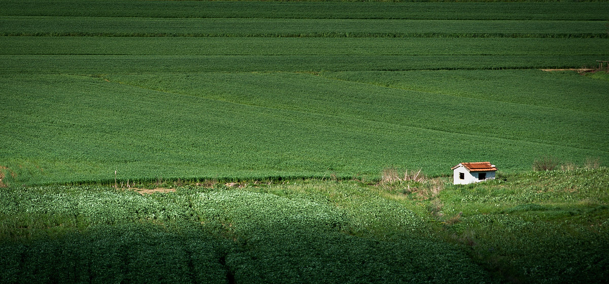 Photographie 42011