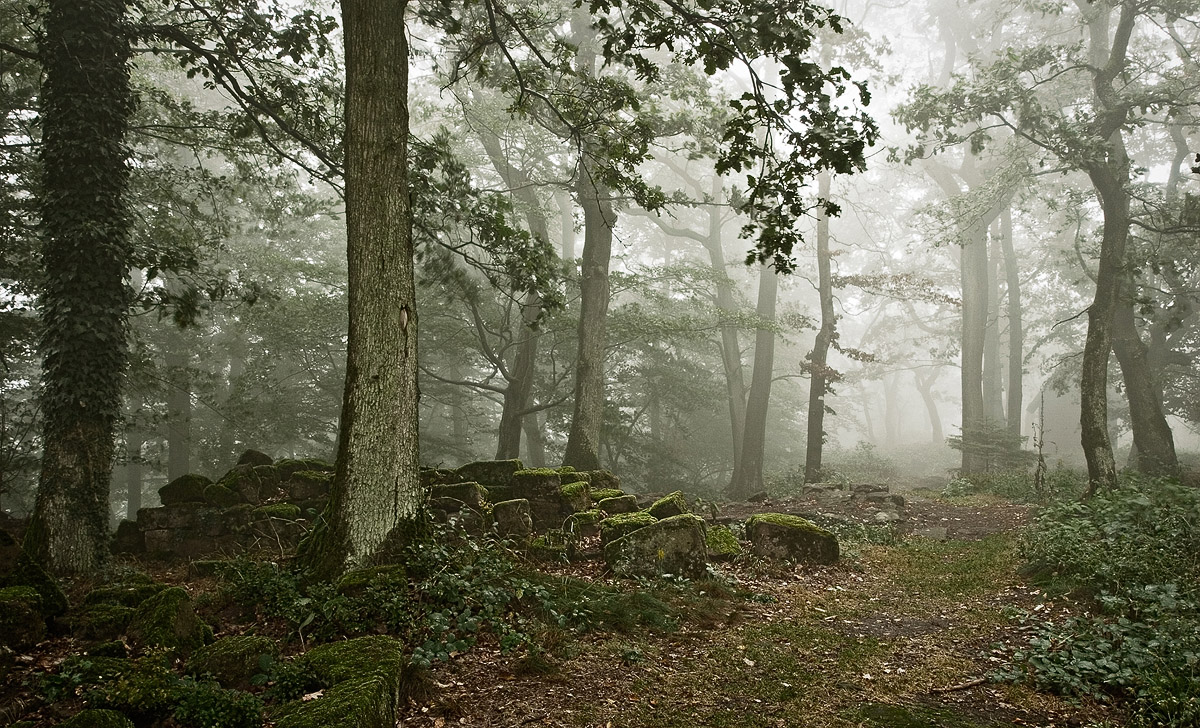 Photographie 44005