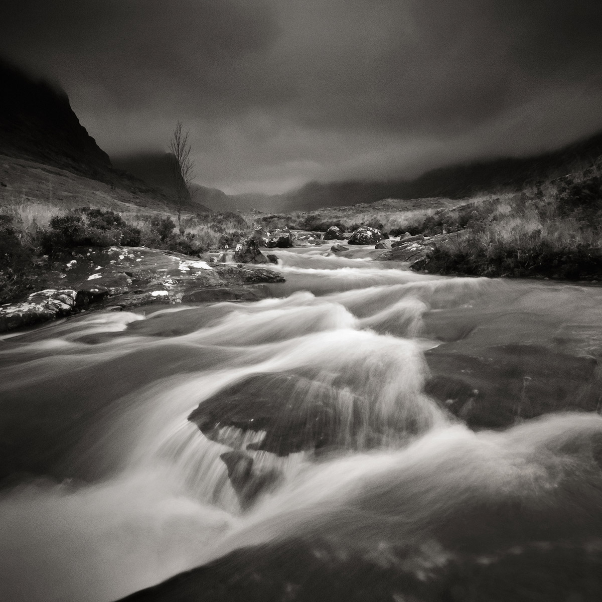 Photographie 50011