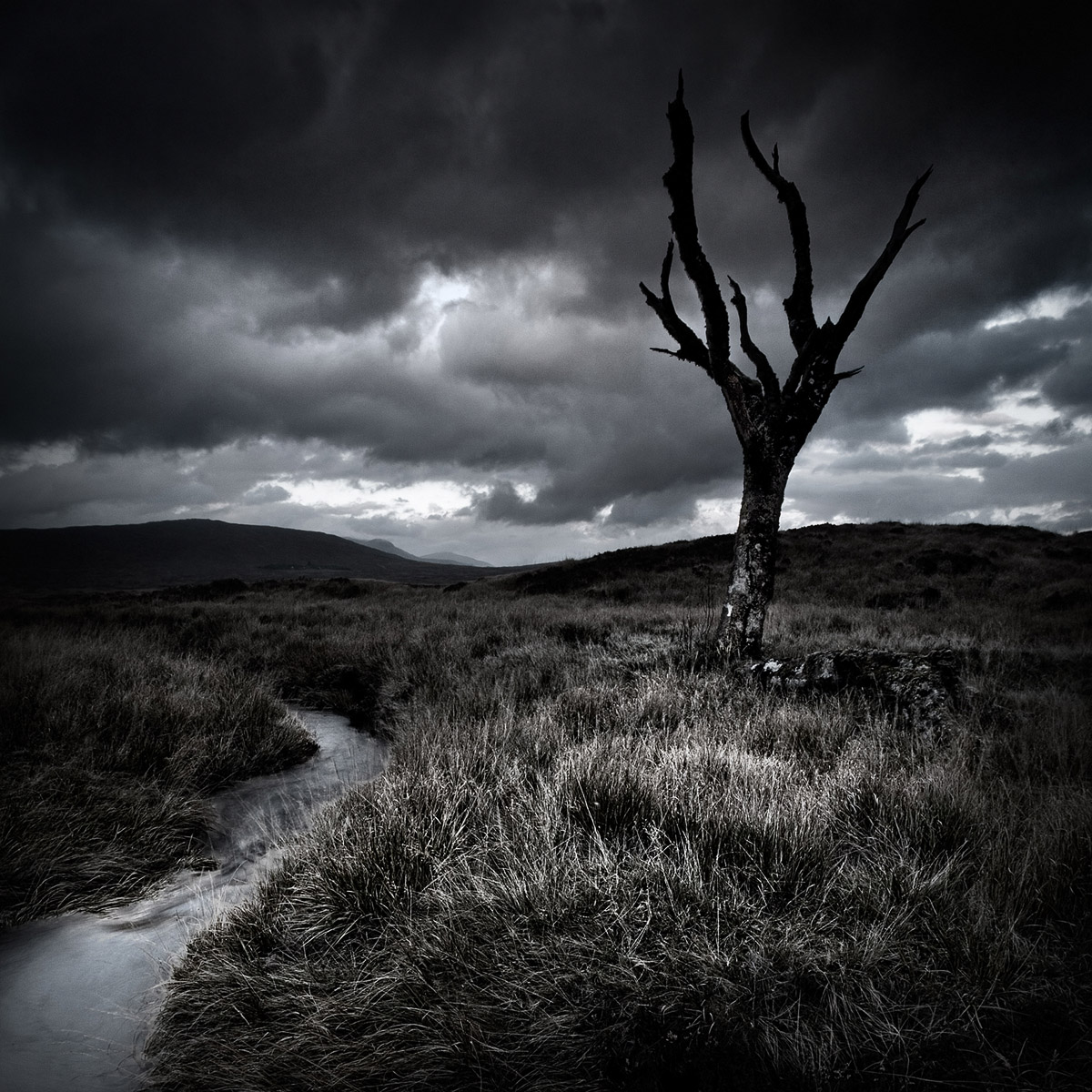 Photographie 50020