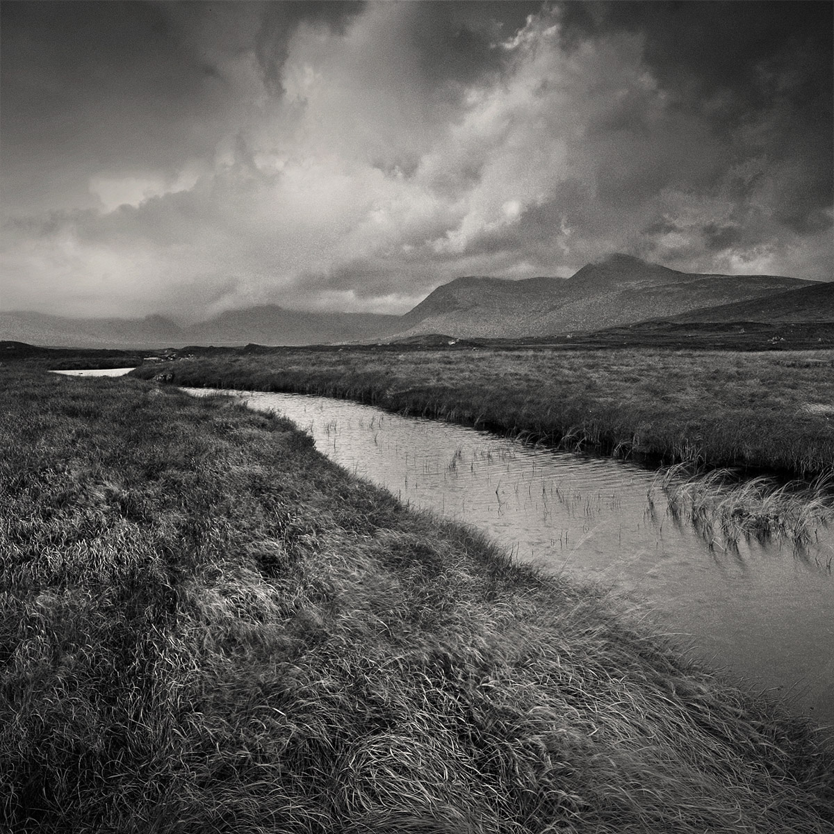 Photographie 50035