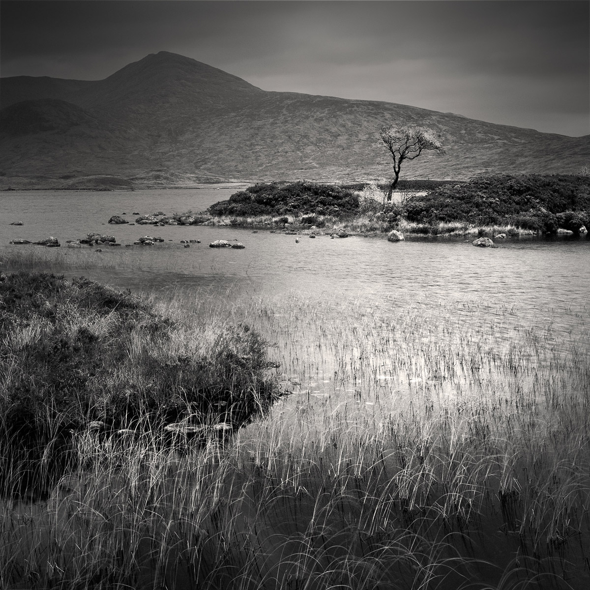 Photographie 50039