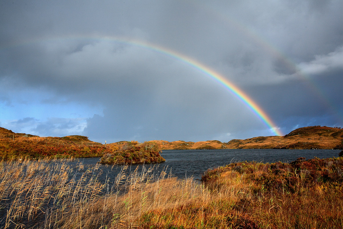 Loch an Arbhair