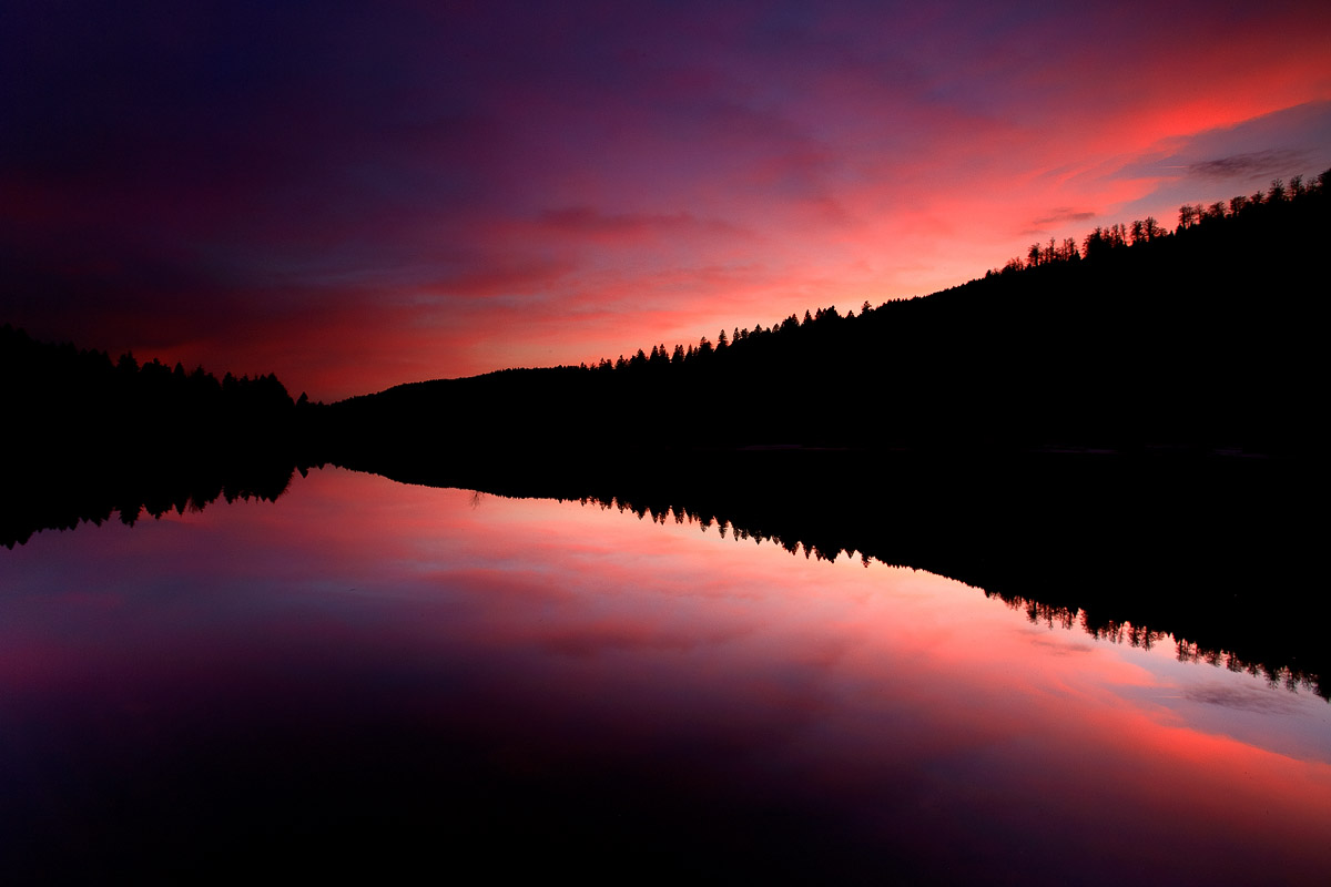 Photographie 53003