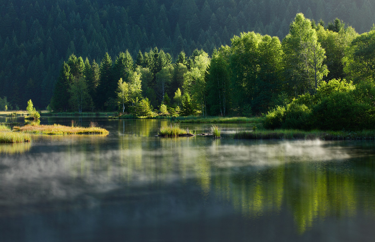 Paysages d'Alsace-Vosges