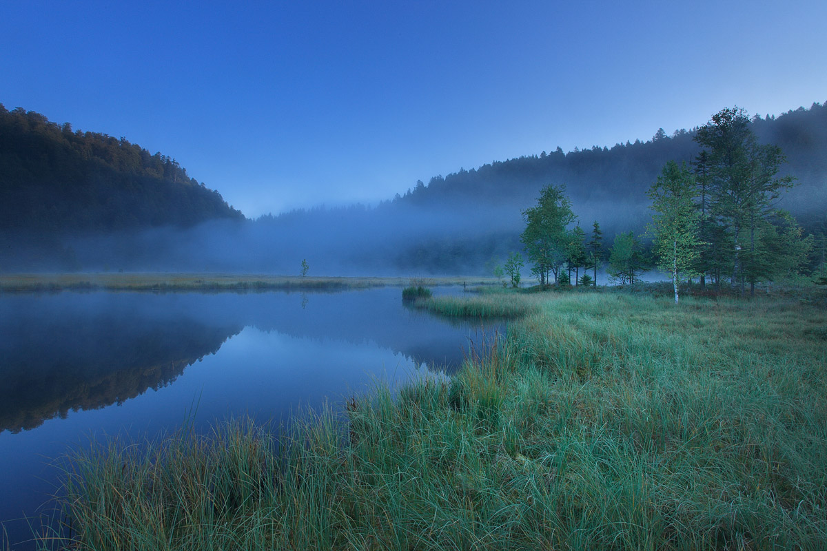 Alsace-Vosges Landscapes