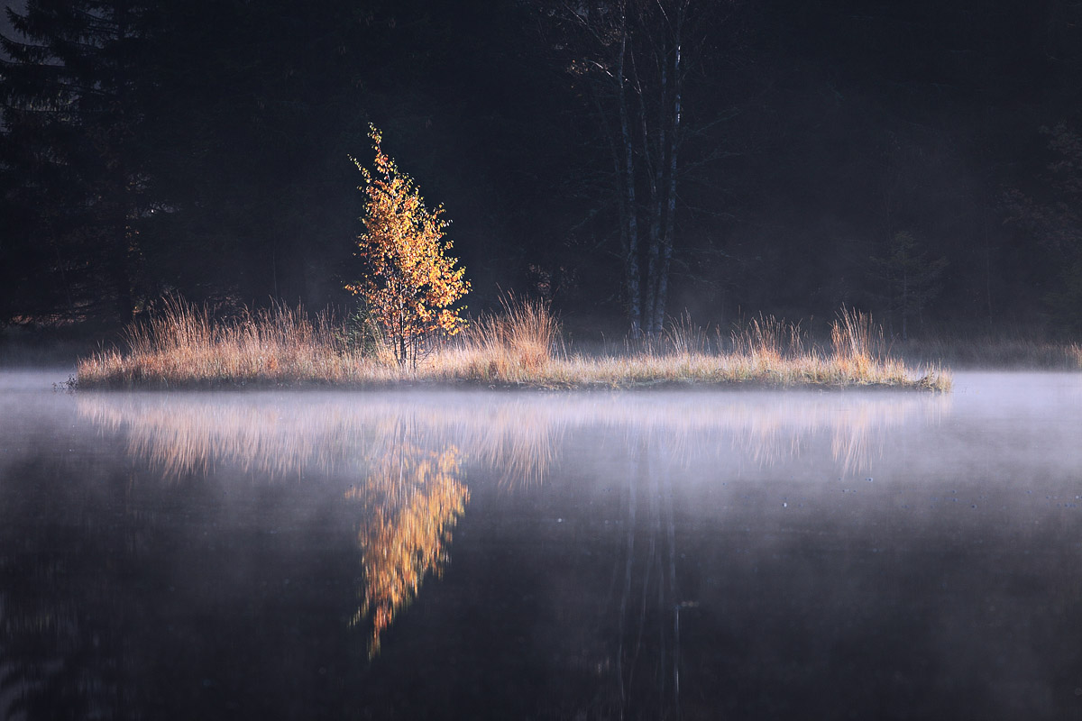 Alsace-Vosges Landscapes