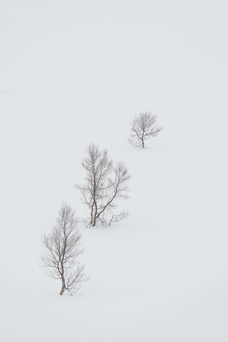 Photographie 55023